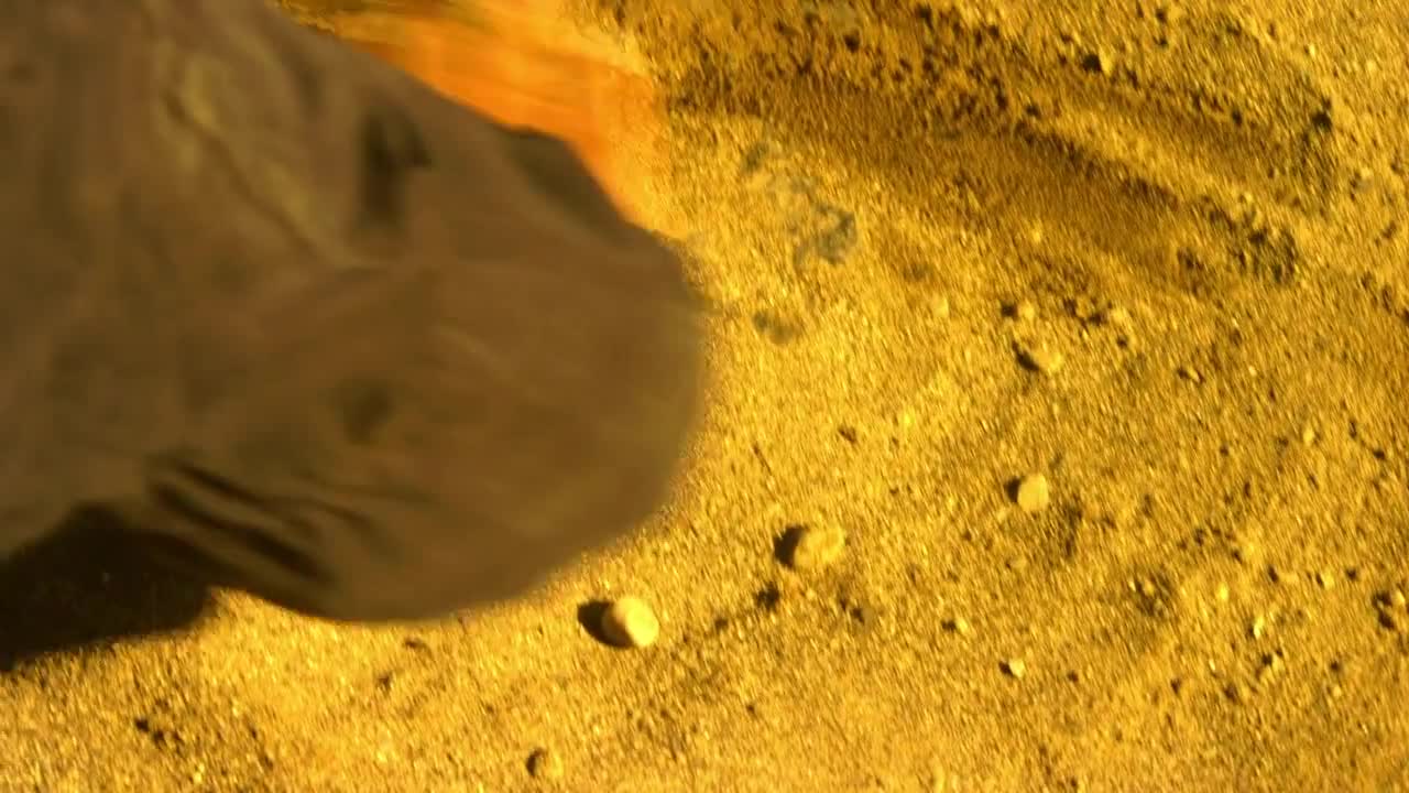 Smallville: As Aventuras do Superboy Episódio 7