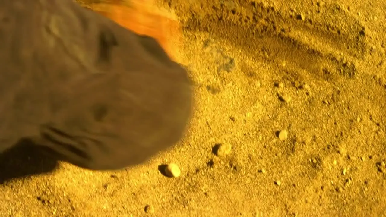 Episódio 7