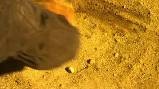 Episódio 7