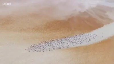 Um Planeta Perfeito-E1.Volcano