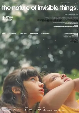 A Natureza das Coisas Invisíveis