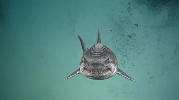 Movie Poster: Jurassic Shark 2: Aquapocalypse