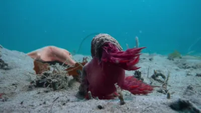 A Vida no Nosso Planeta-E2