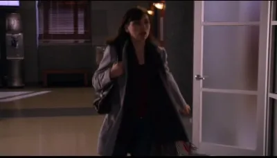 The Good Wife - Pelo Direito de Recomeçar-E11