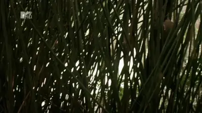 E1