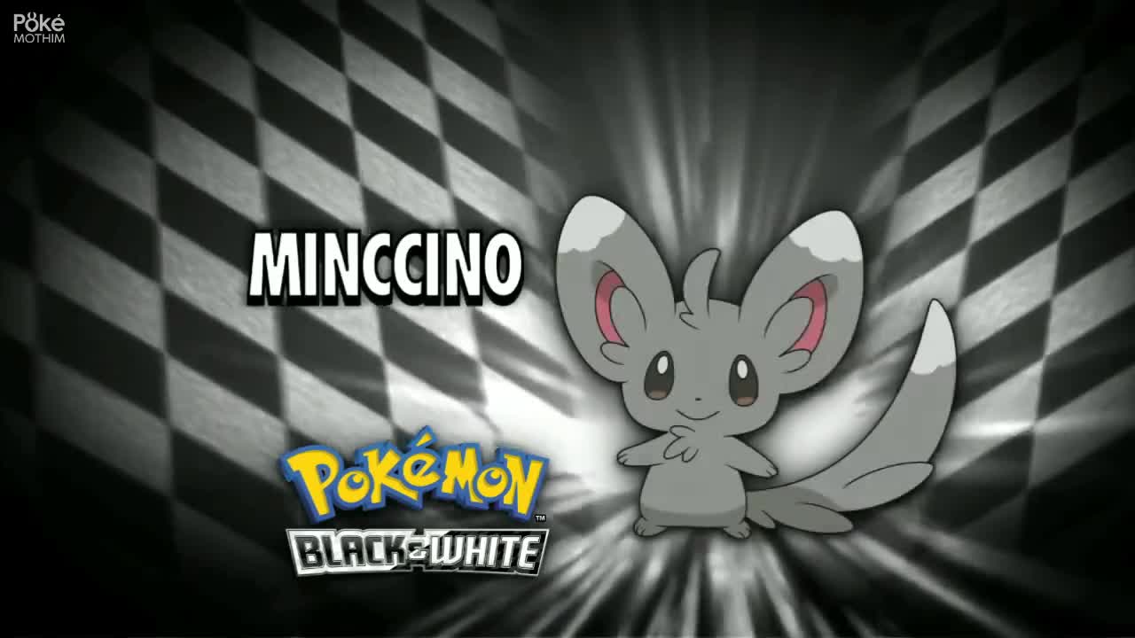 Pokémon The Series: Black & White Episódio 13