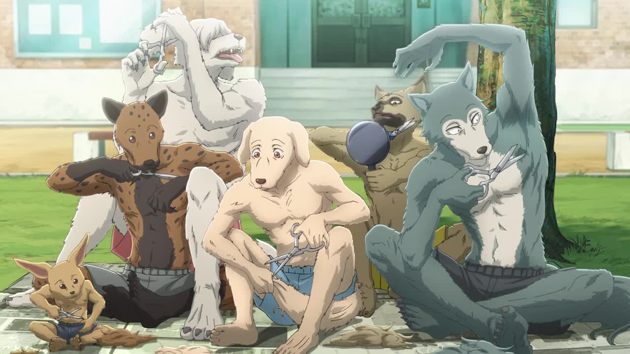 BEASTARS - O Lobo Bom Episódio 5