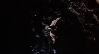 E1.The Hills Have Eyes