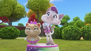 O jogo do gato colorido