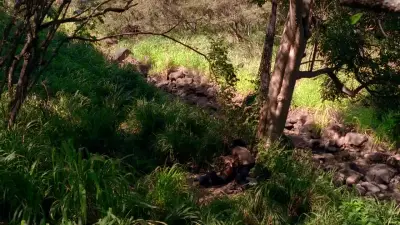 Lost-E24