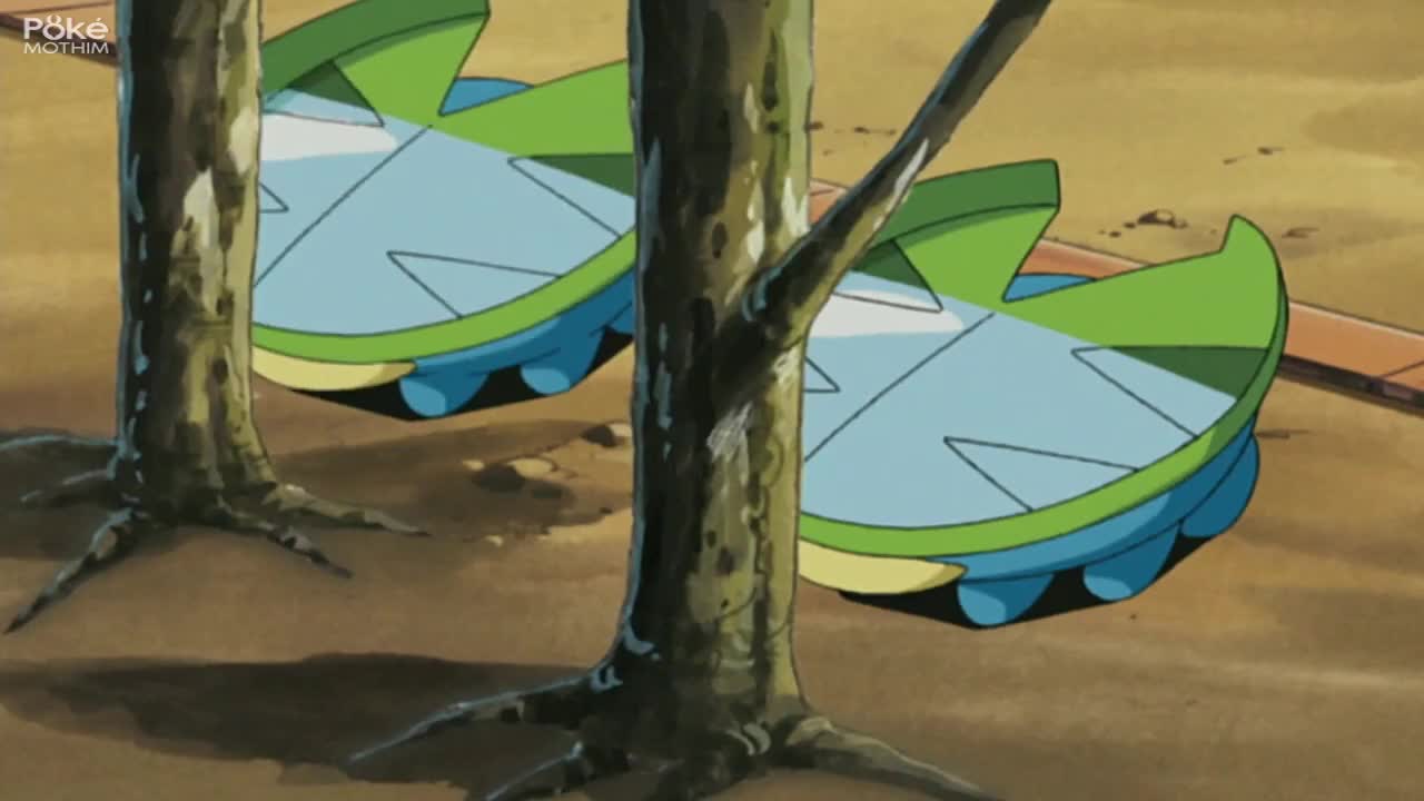 Pokémon The Series:Advanced Episódio 12