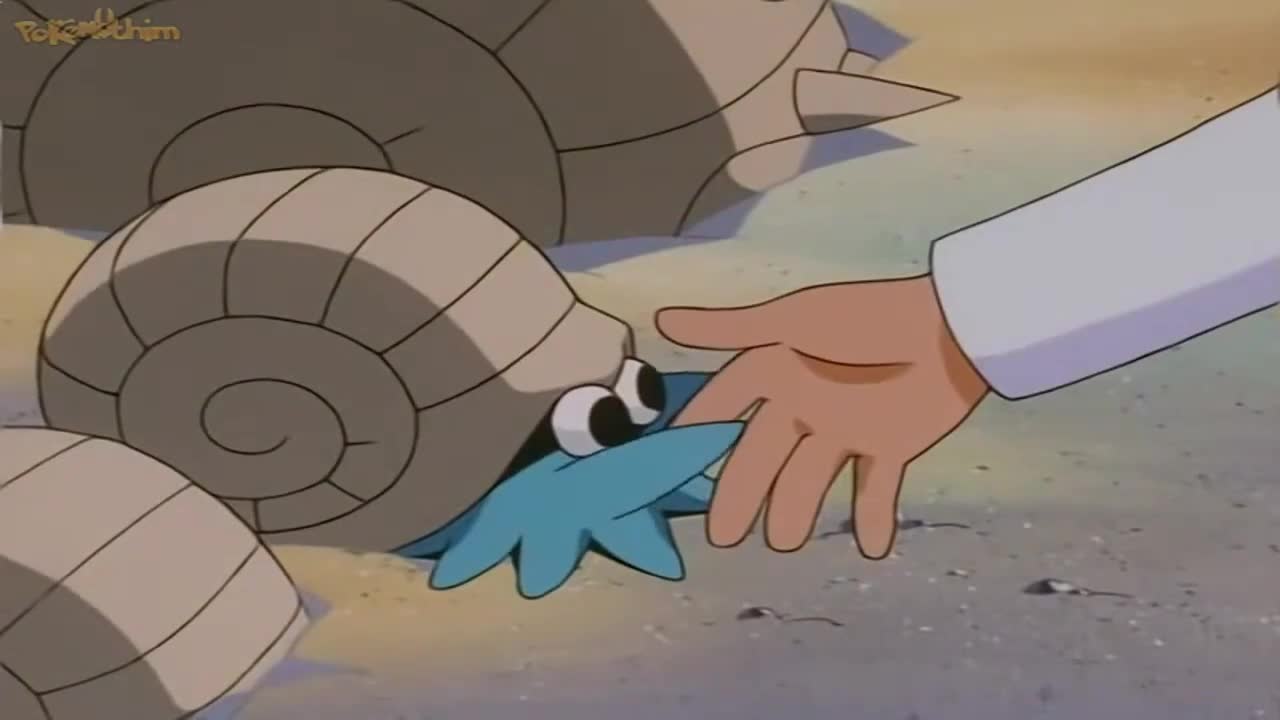 Pokémon The Series: Johto League Champions Episódio 6
