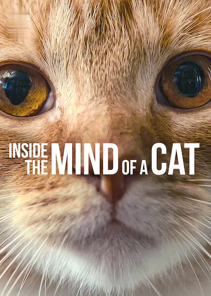 Dentro da Mente de um Gato