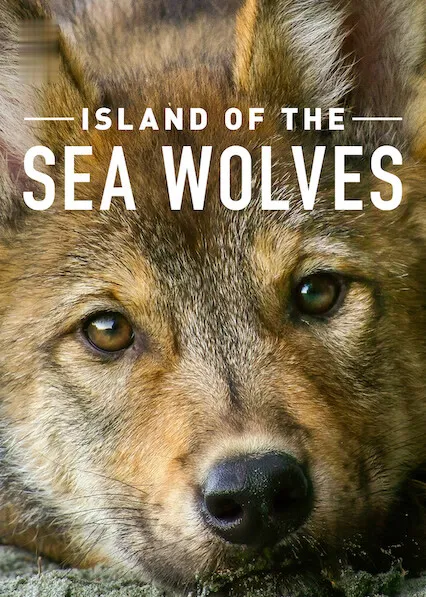 Os Lobos da Ilha de Vancouver