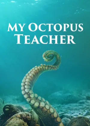 Capa de Professor Polvo