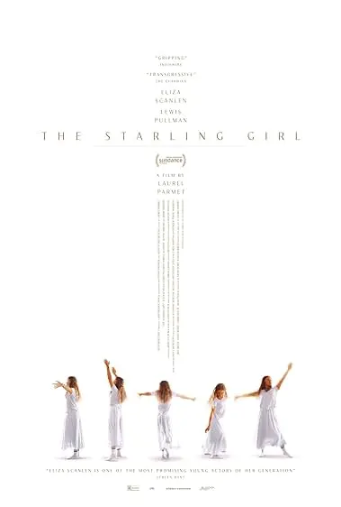 Movie Poster: A Dança dos Pássaros
