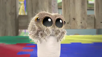Lucas, a Aranha-Cachorros dormindo / Fedida / Arlo e a cobra