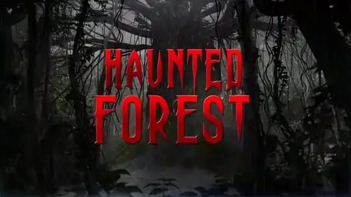 Movie Poster: Haunted Forest