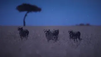 E1.Planícies iluminadas pela lua