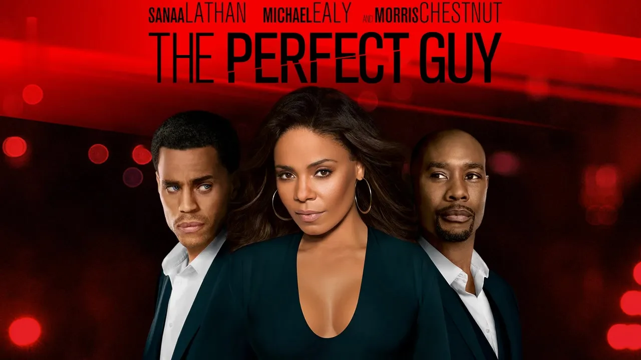 Movie Poster: O Cara Perfeito