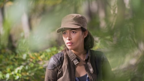 The Walking Dead Episódio 15