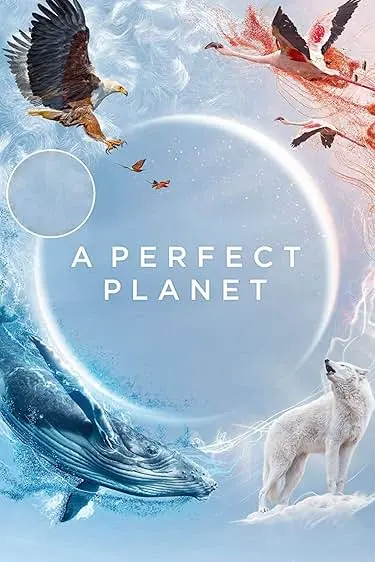 Pôster da série Um Planeta Perfeito (2021)