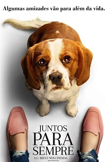 Pôster de Juntos Para Sempre (2019)