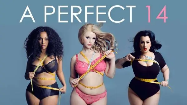 Movie Poster: A Perfect 14