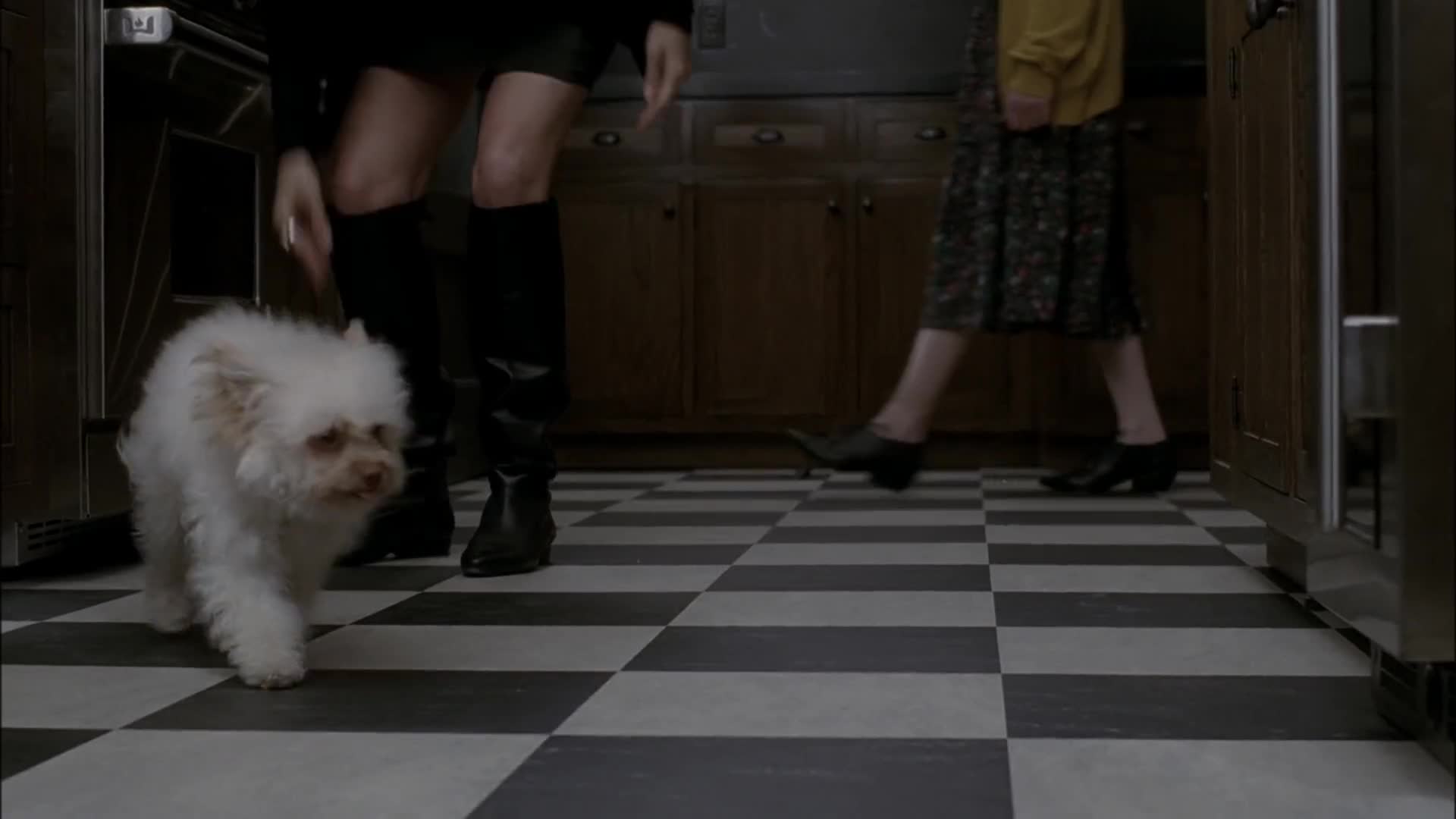 American Horror Story Episódio 1