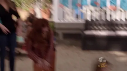 Episódio 1