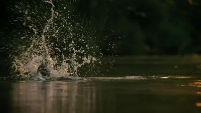 Sete Mundos, Um Planeta-E4.Australia