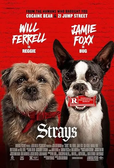 Capa de Ruim pra Cachorro
