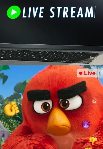 Movie Poster: Live Stream