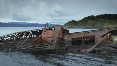Patagonia: Life on the Edge of the World-E6.A Year in the Wild