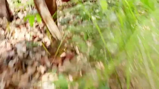 E4