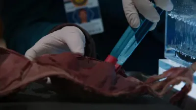 Bones-E8