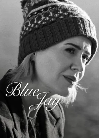 Blue Jay