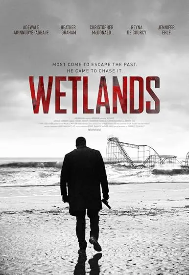 Pôster de Wetlands (2017)