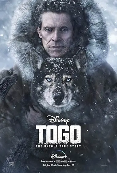 Pôster de Togo (2019)