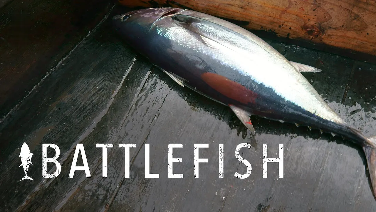 Movie Poster: Pesca Implacável