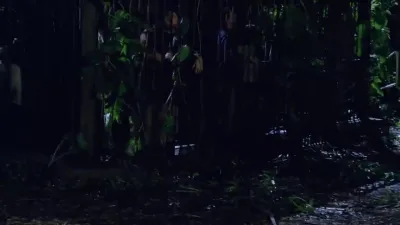 Lost-E13