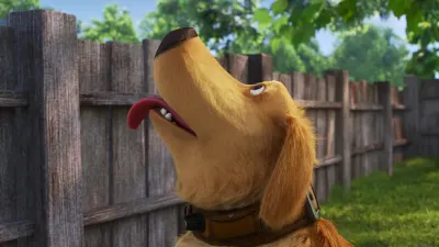 A Vida do Dug-E1.Squirrel!