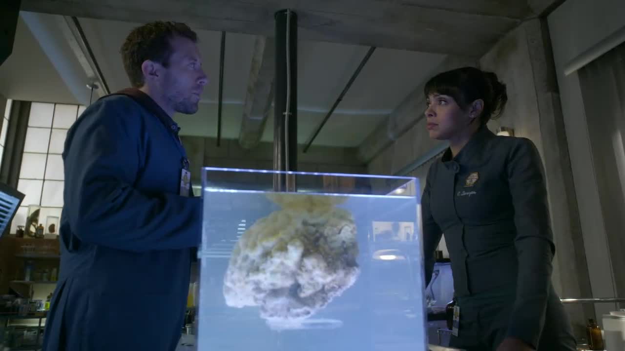 Bones Episódio 18