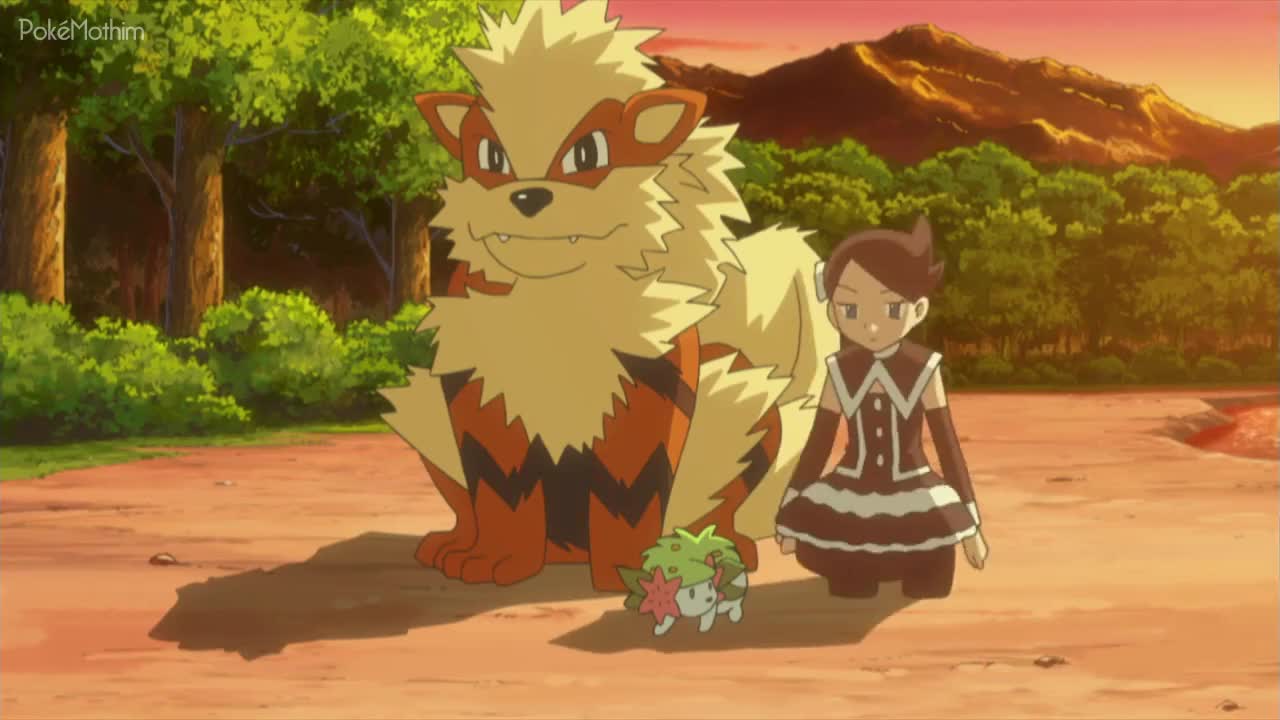 Pokémon The Series:Diamond and Pearl Episódio 11