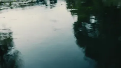 Versailles-E5.The Beyond