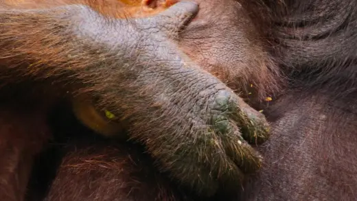 E8.