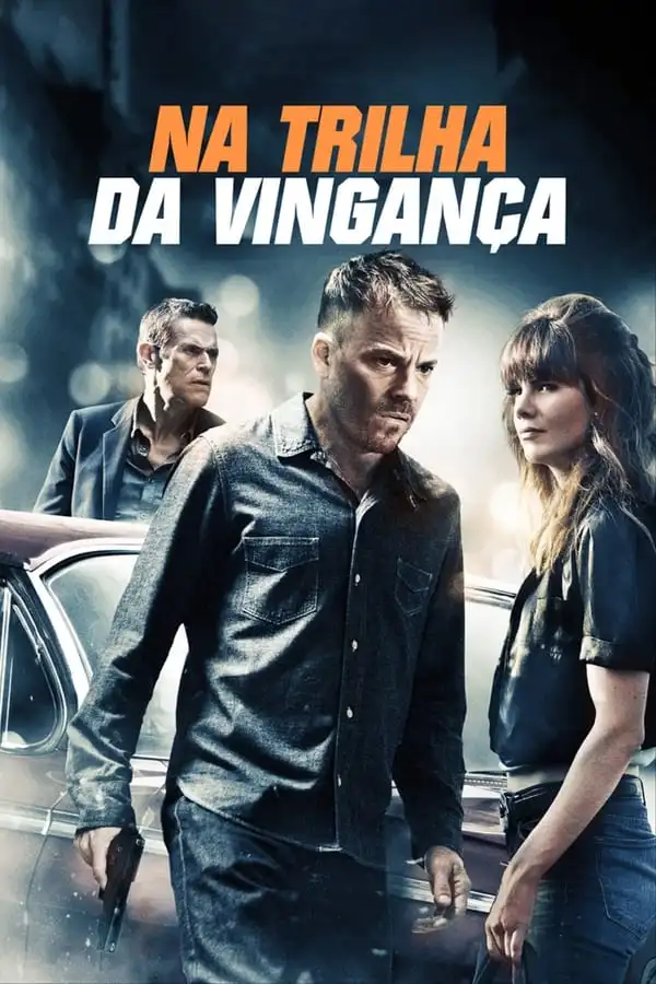 Pôster de Na Trilha da Vingança (2012)