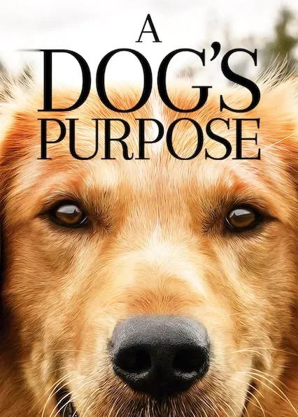 Capa de Quatro Vidas de Um Cachorro