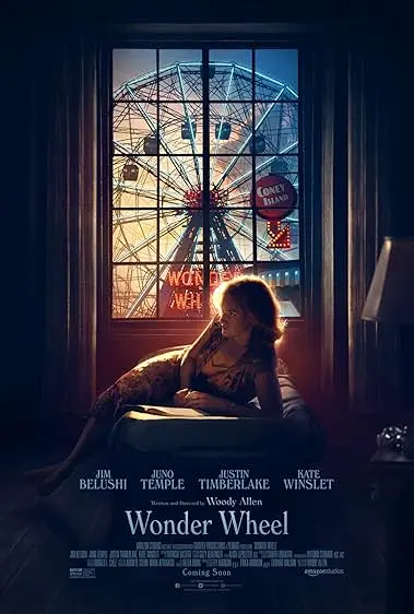 Pôster de Roda Gigante (2017)