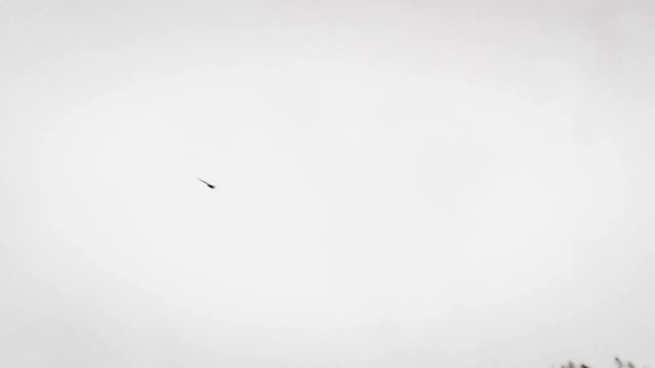 E1